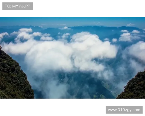 重庆篮球队技术水平大幅提升引发关注创新高成就引领全国篮球发展新趋势 重庆篮球队技术水平大幅提升引发关注创新高成就引领全国篮球发展新趋势