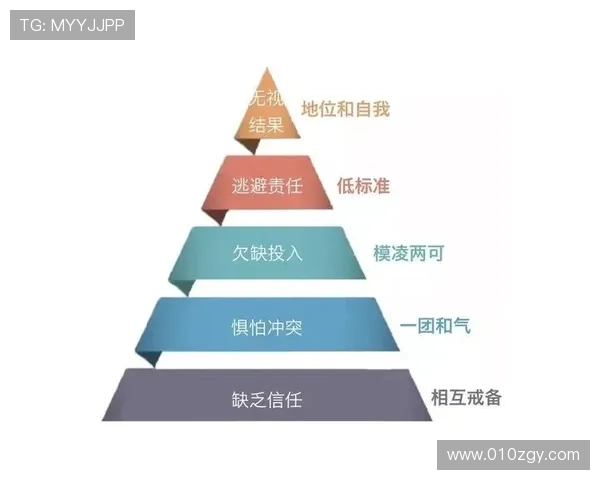 北京排球队在奥运会上的个人能力展现与团队协作的完美结合分析